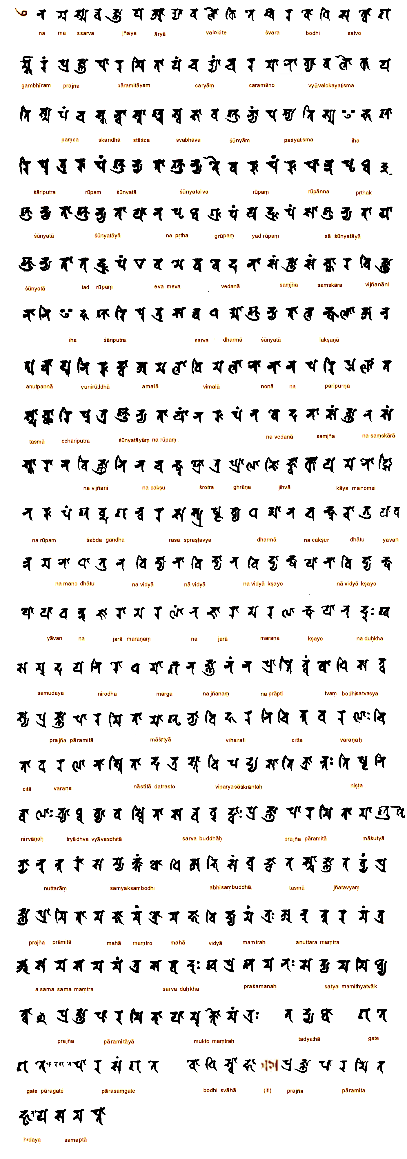 ��¡�������ľ�